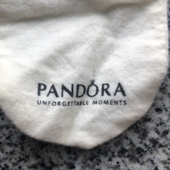 PANDORA Duster Bag - Picture 2 of 4